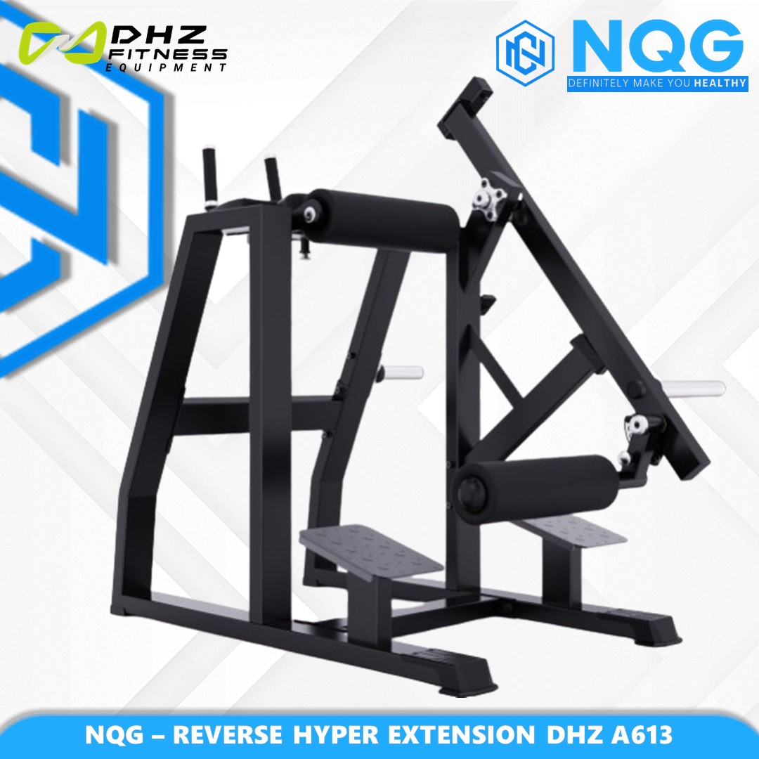 NQG – New Alat Olahraga Fitness Gym Reverse Hyper Extension Machine Plate Loaded DHZ A613