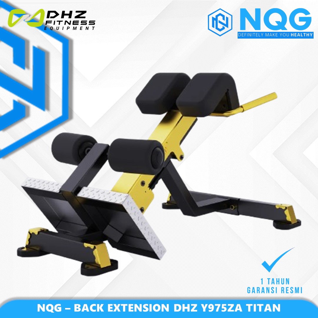 NQG – New Alat Olahraga Fitness Golden Roman Chair Back Extension Titan Series DHZ Y975ZA